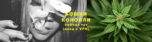 соль курить ск Пересвет