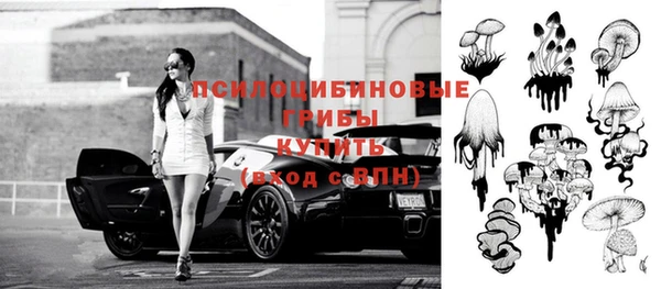 соль курить ск Пересвет