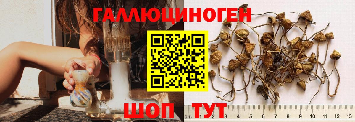 где купить наркоту  Галлюциногенные грибы ЛСД  Вход с VPN  Касимов 
